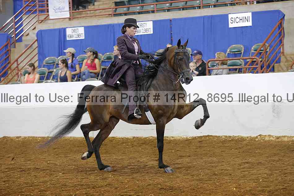 Proof Number 14r12_8695