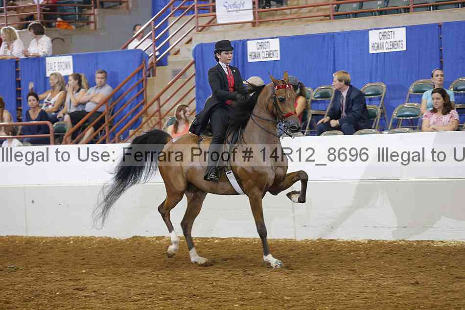 Proof Number 14r12_8696
