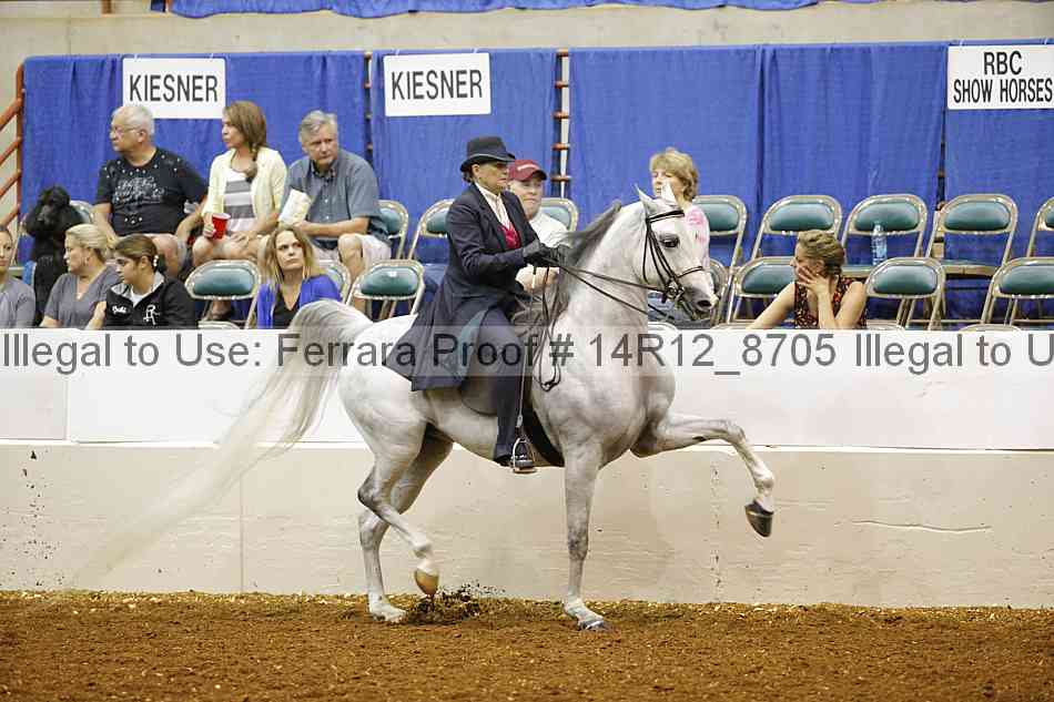Proof Number 14r12_8705