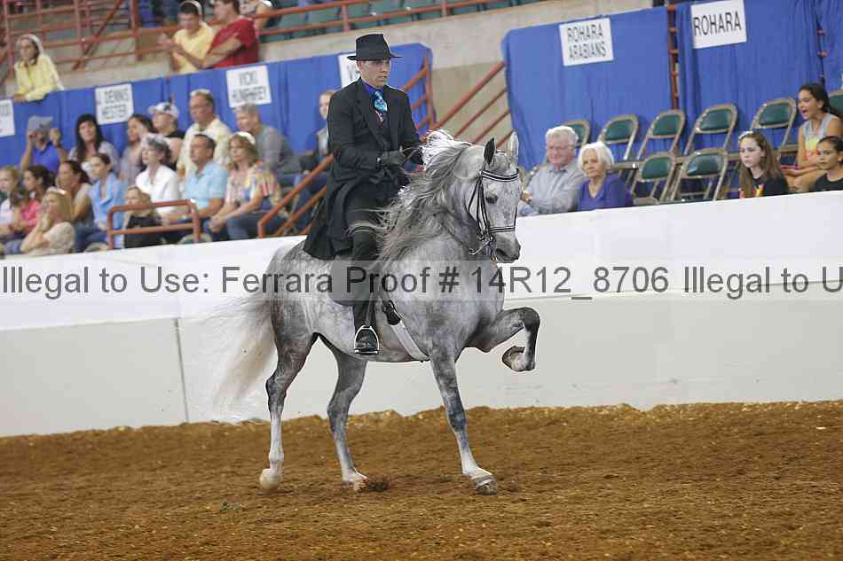 Proof Number 14r12_8706