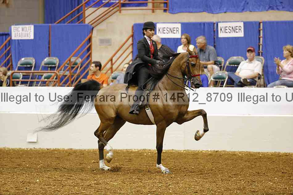 Proof Number 14r12_8709