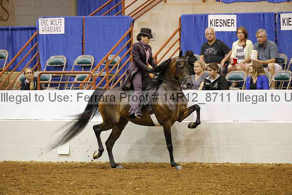 Proof Number 14r12_8711