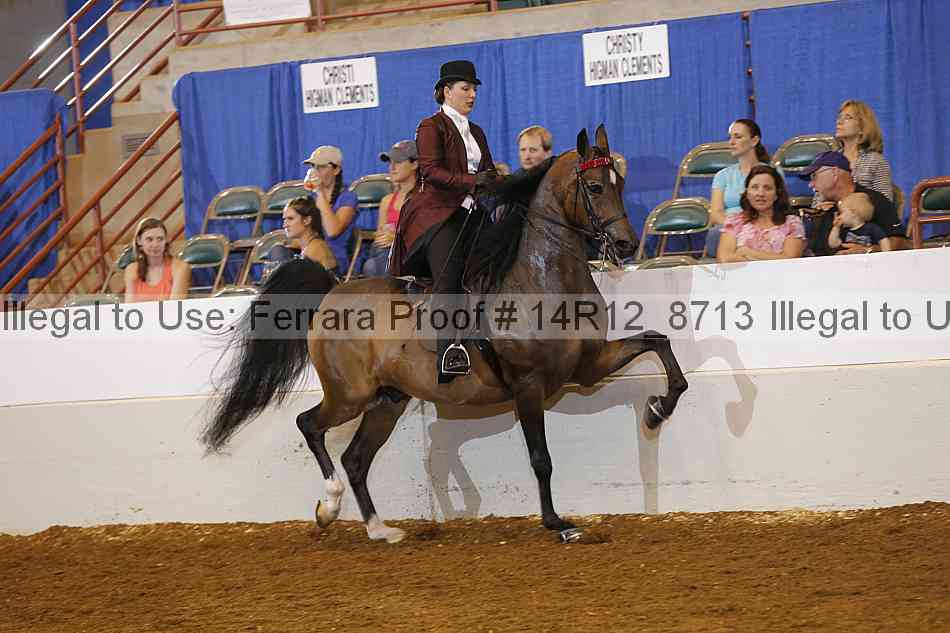 Proof Number 14r12_8713