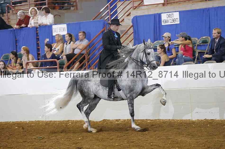 Proof Number 14r12_8714