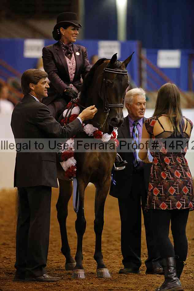 Proof Number 14r12_8736