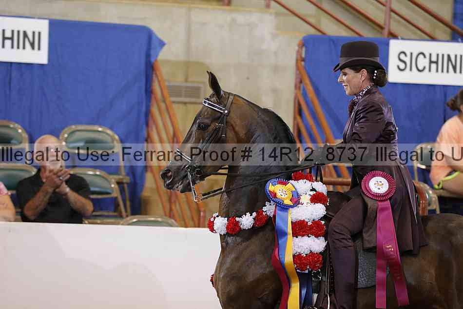 Proof Number 14r12_8737