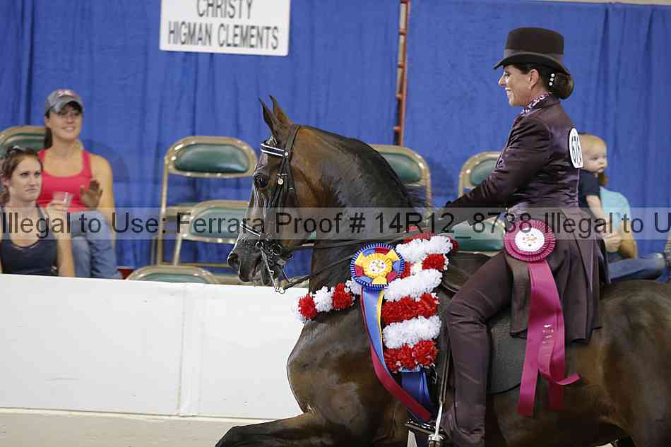 Proof Number 14r12_8738