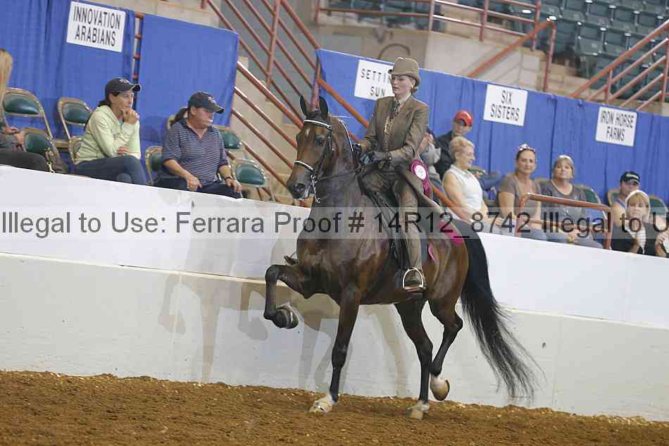 Proof Number 14r12_8742