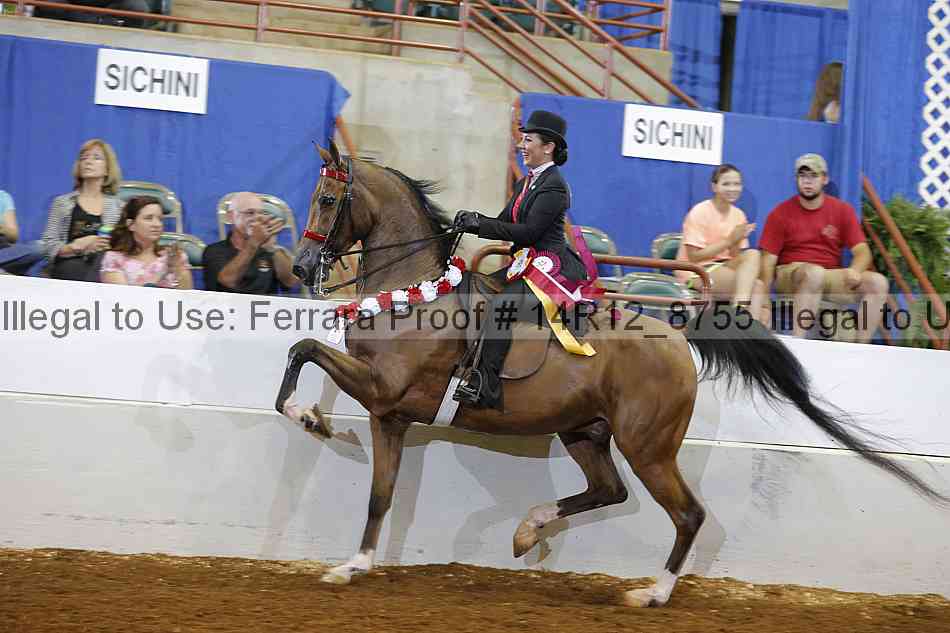 Proof Number 14r12_8755