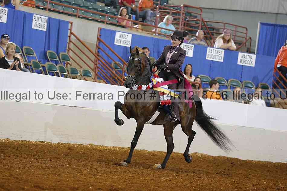 Proof Number 14r12_8756