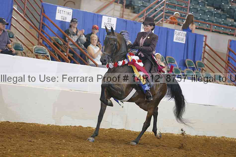 Proof Number 14r12_8757