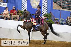 14r12_8759 thumbnail