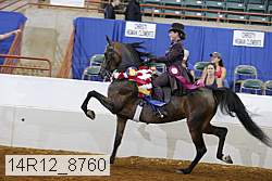14r12_8760 thumbnail