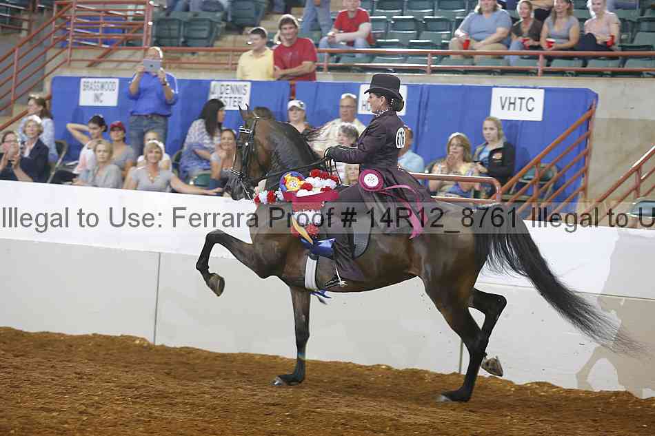 Proof Number 14r12_8761