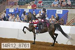 14r12_8761 thumbnail