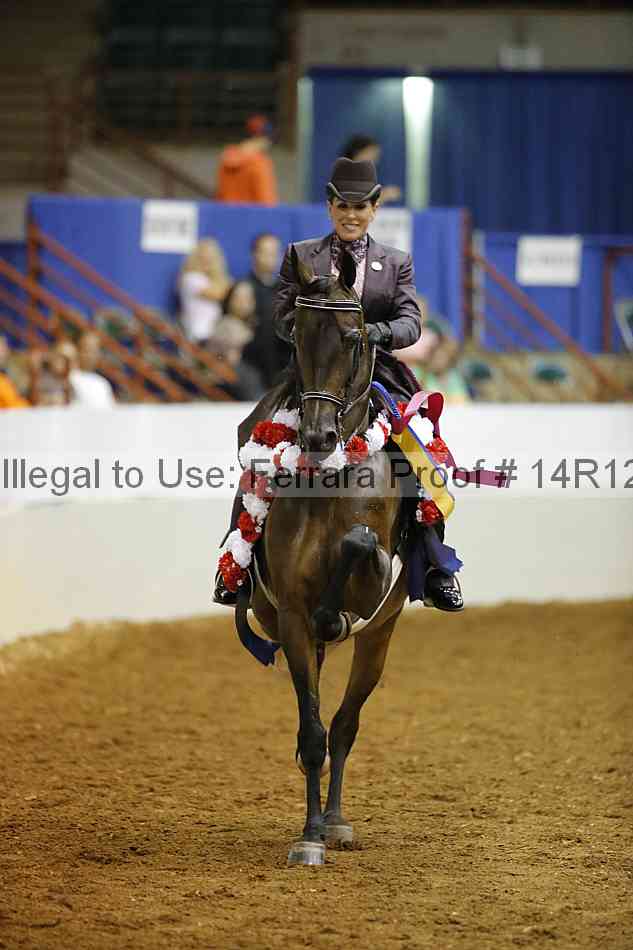 Proof Number 14r12_8762