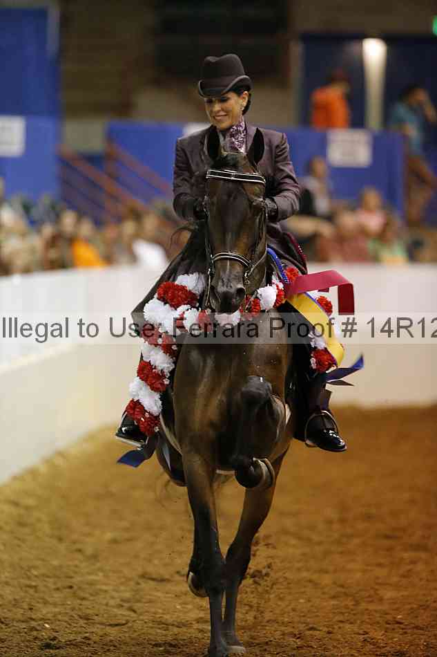 Proof Number 14r12_8763