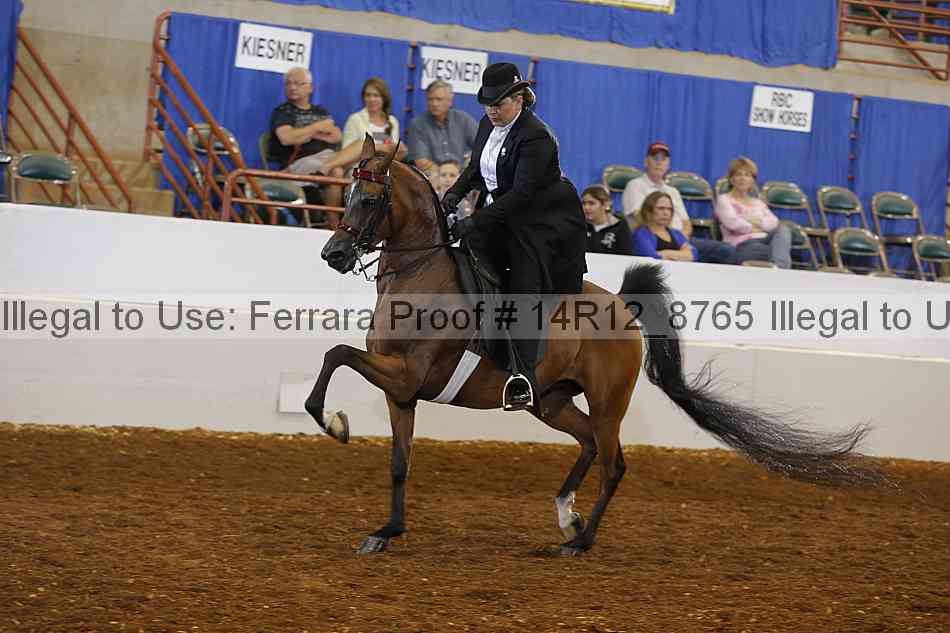 Proof Number 14r12_8765