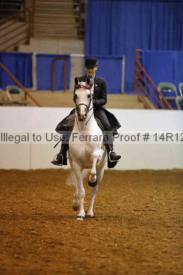 Proof Number 14r12_8767