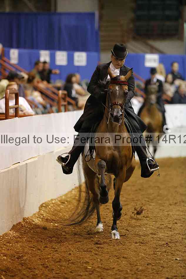 Proof Number 14r12_8769