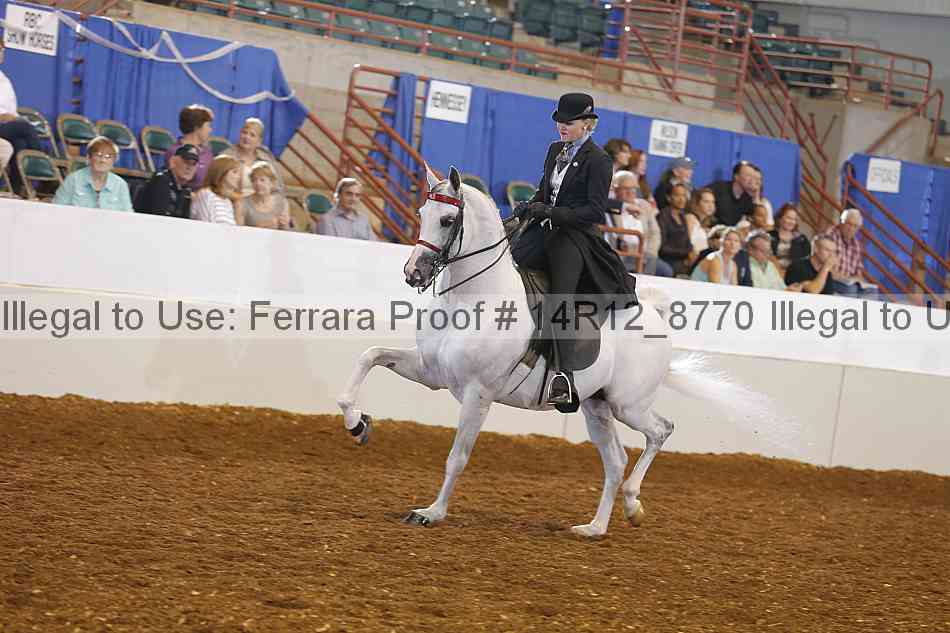Proof Number 14r12_8770