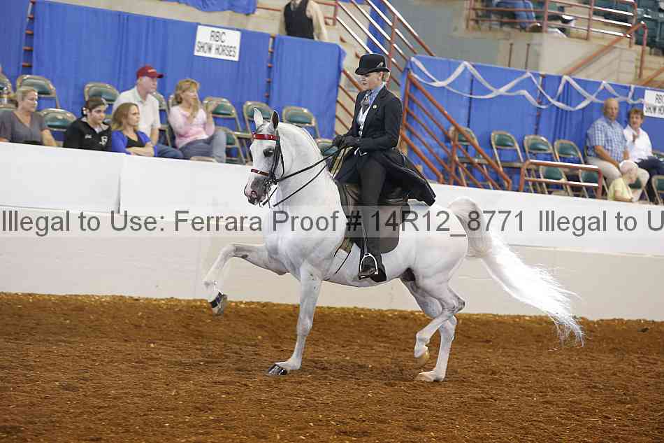 Proof Number 14r12_8771