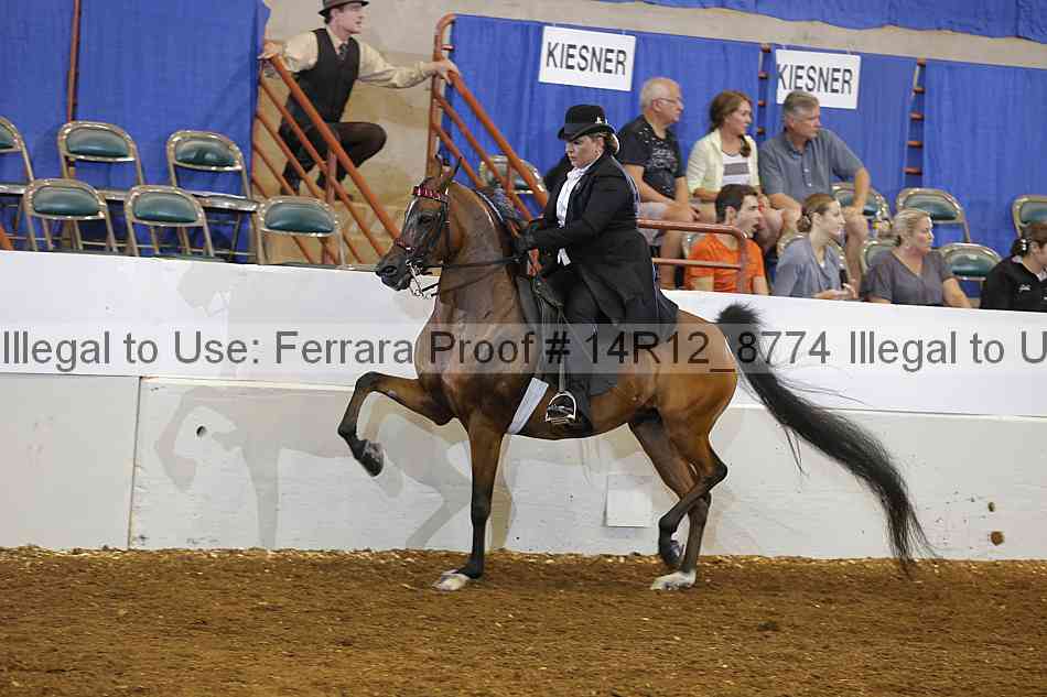 Proof Number 14r12_8774