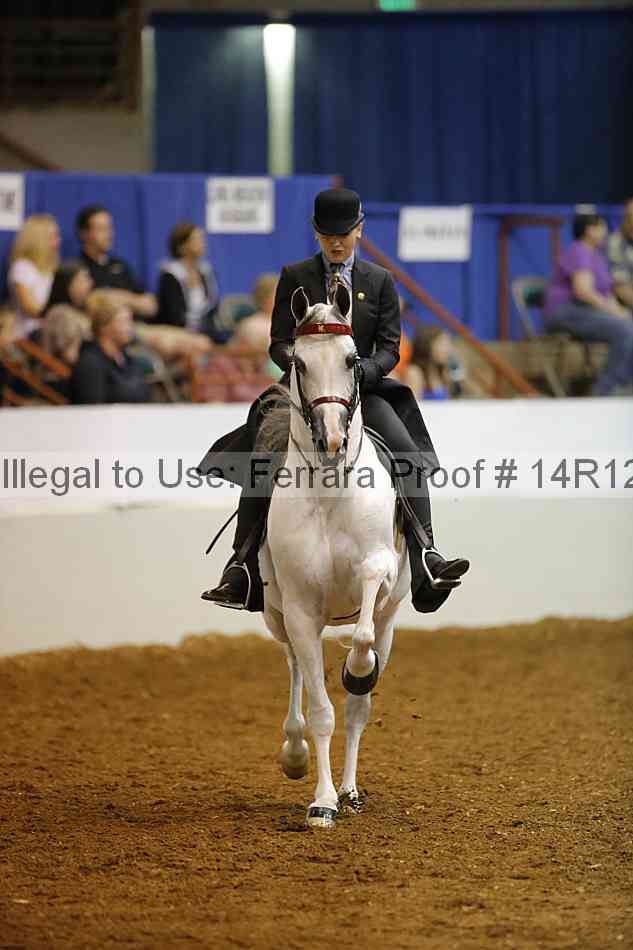 Proof Number 14r12_8776