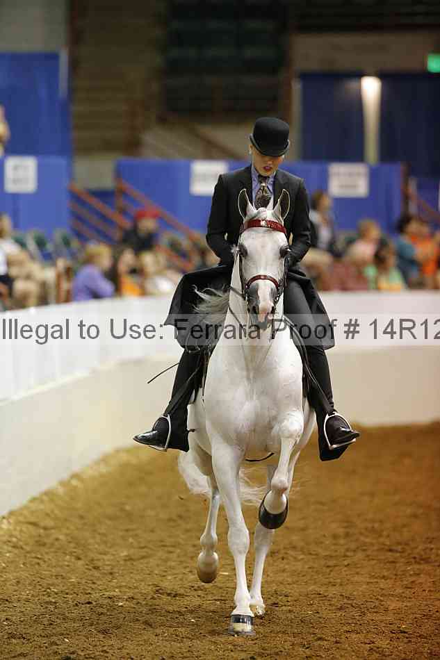 Proof Number 14r12_8777