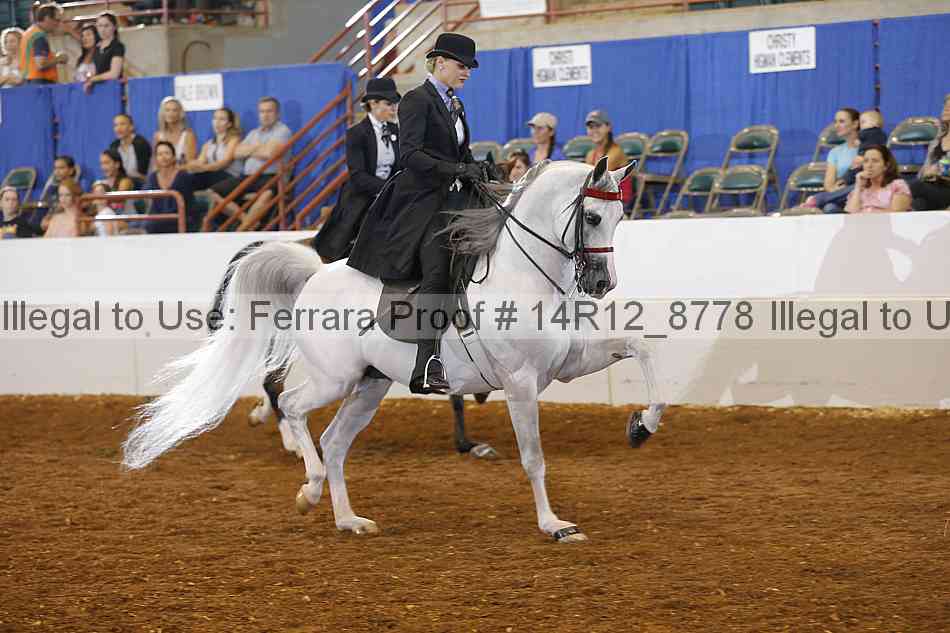 Proof Number 14r12_8778