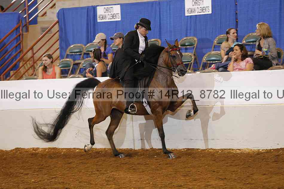 Proof Number 14r12_8782