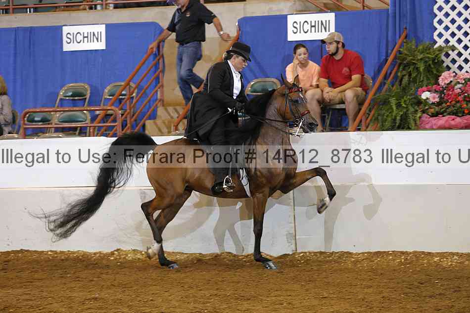 Proof Number 14r12_8783