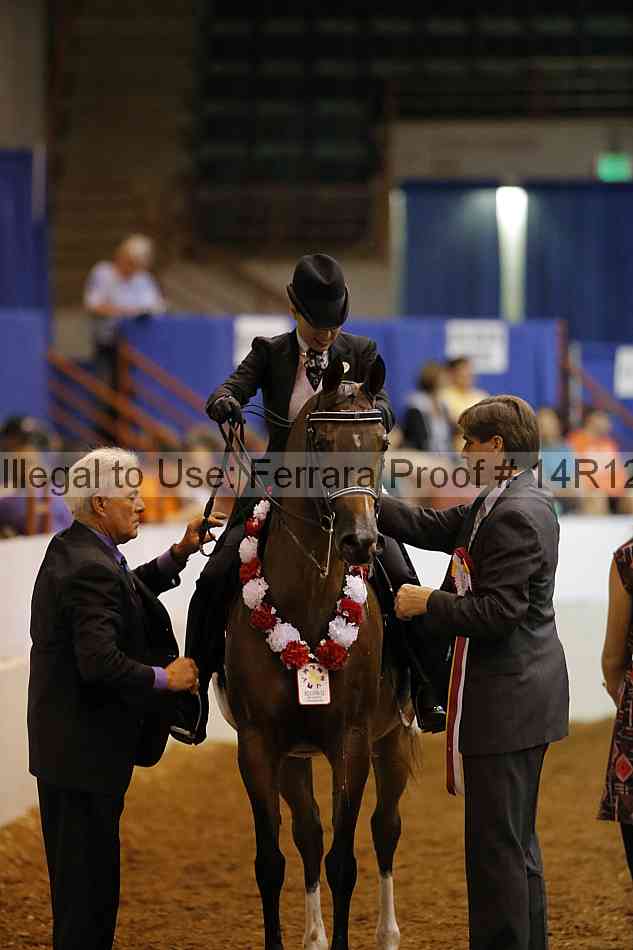 Proof Number 14r12_8789