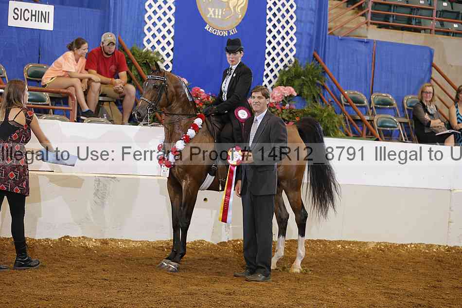 Proof Number 14r12_8791