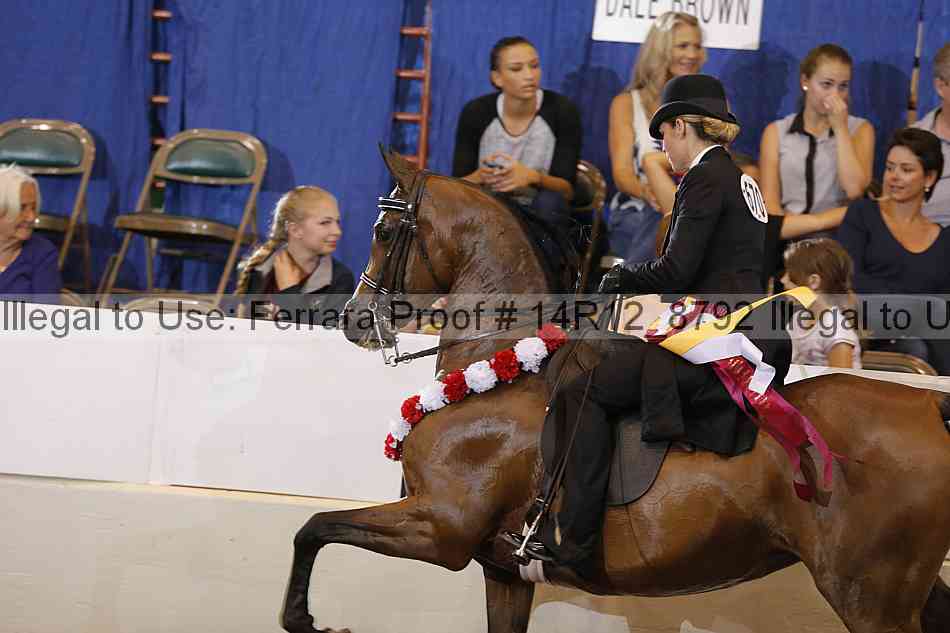 Proof Number 14r12_8792