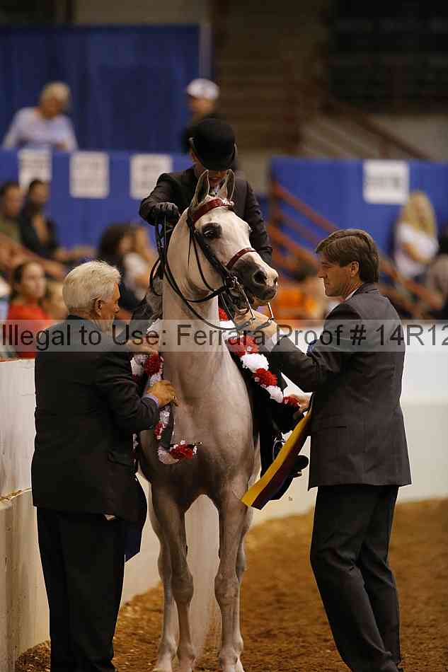 Proof Number 14r12_8796
