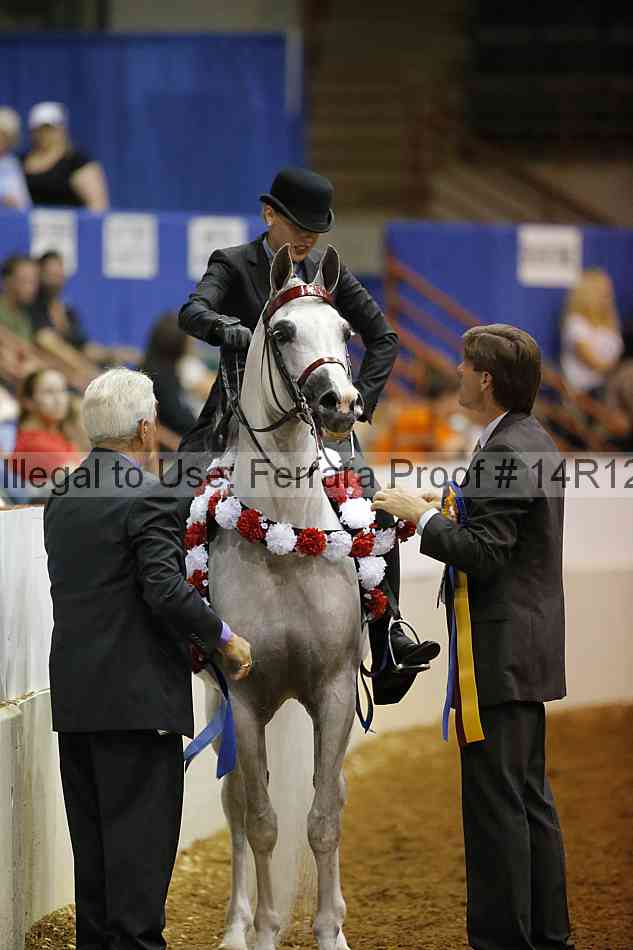 Proof Number 14r12_8797