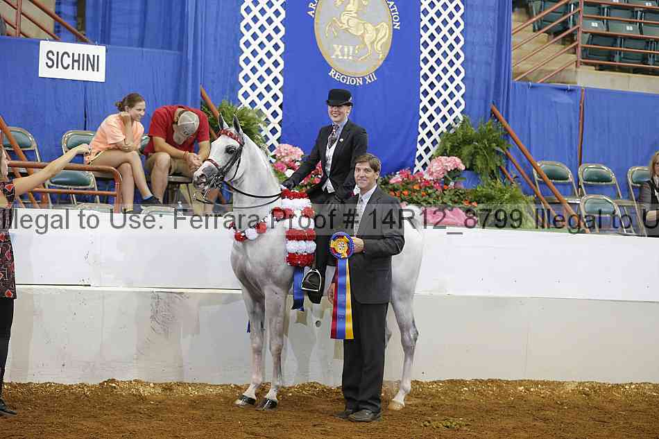 Proof Number 14r12_8799