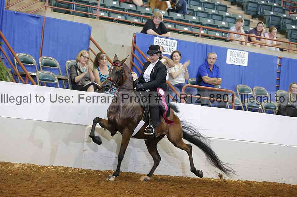 Proof Number 14r12_8801
