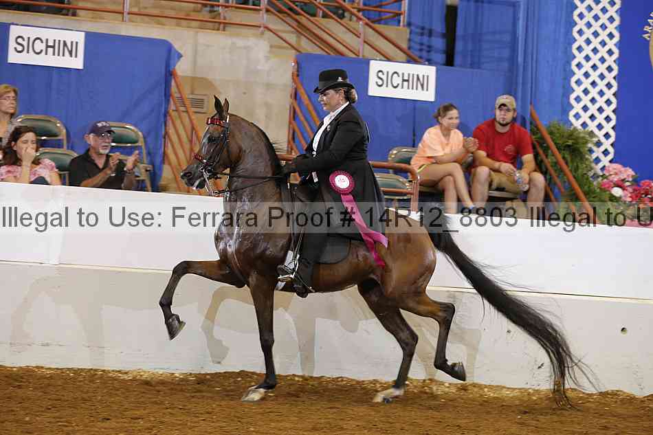 Proof Number 14r12_8803
