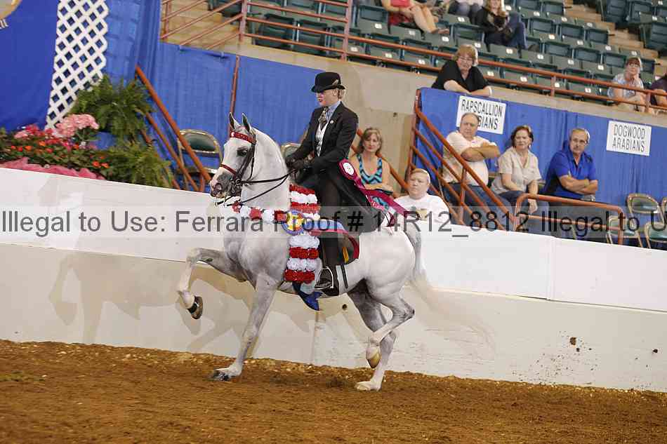 Proof Number 14r12_8812