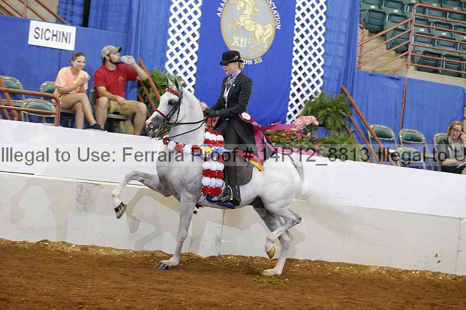 Proof Number 14r12_8813