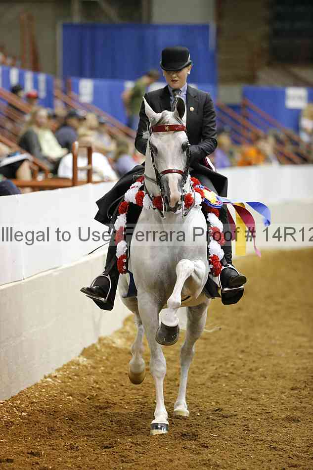 Proof Number 14r12_8816