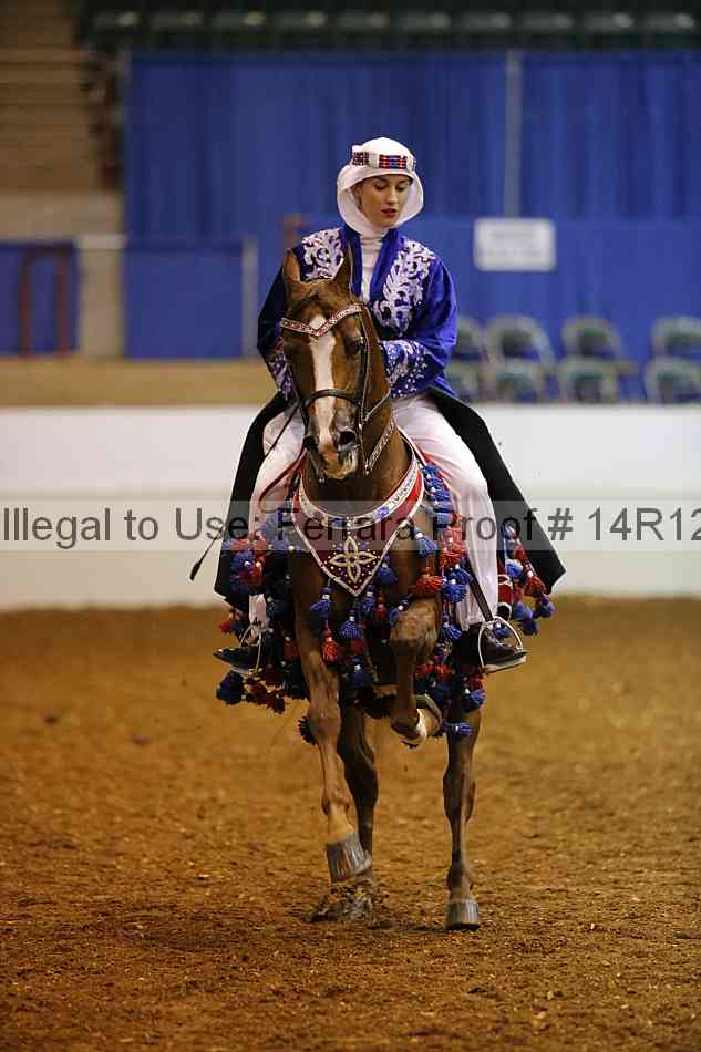 Proof Number 14r12_8833