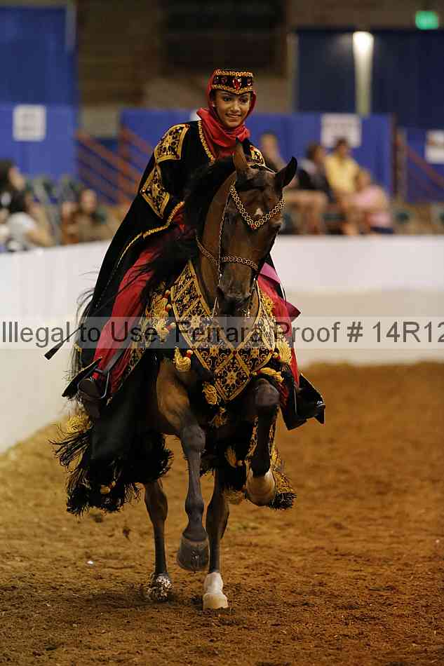 Proof Number 14r12_8863