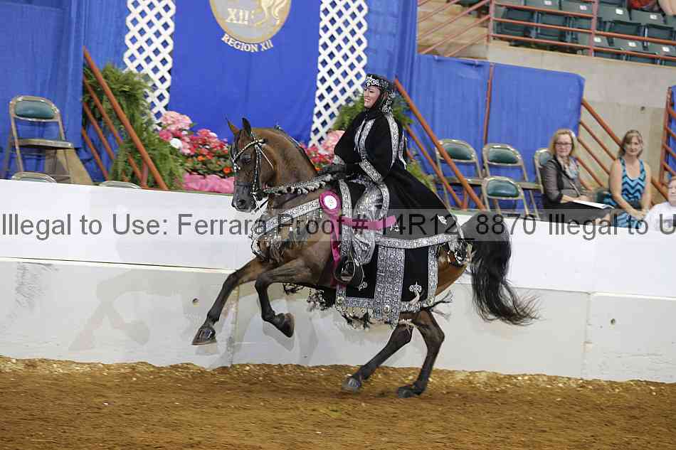 Proof Number 14r12_8870