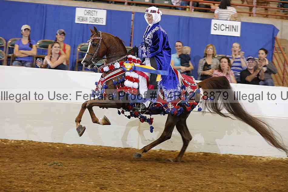 Proof Number 14r12_8879