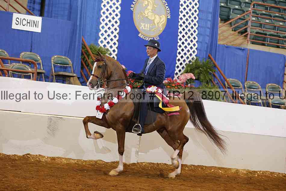 Proof Number 14r12_8907