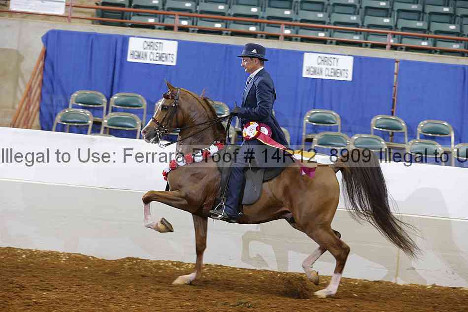 Proof Number 14r12_8909