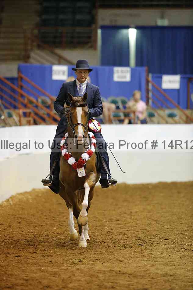 Proof Number 14r12_8910